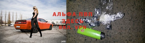 трава Белокуриха