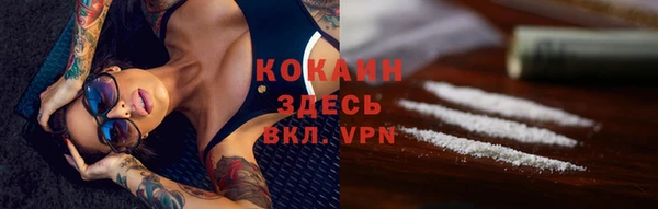 трава Белокуриха