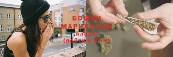 трава Белокуриха