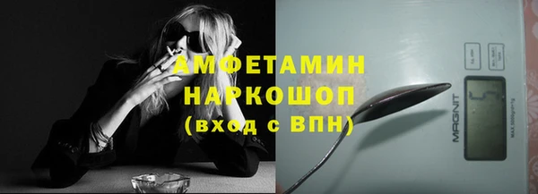 трава Белокуриха