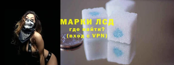 трава Белокуриха