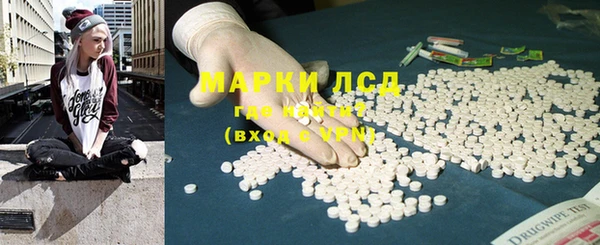 трава Белокуриха