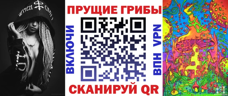 Псилоцибиновые грибы мицелий  продажа наркотиков  darknet наркотические препараты  Мглин 